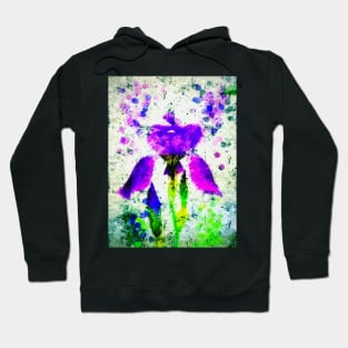 Iris Hoodie